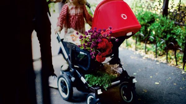 Bugaboo Donkey Mono dječja kolica