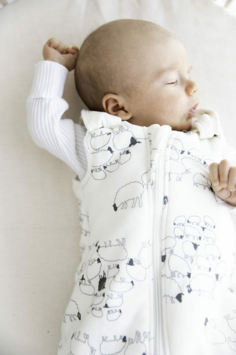 Ergobaby Klasična Vreća za spavanje Cozy (TOG 2,5), Ovčice - Slika 4