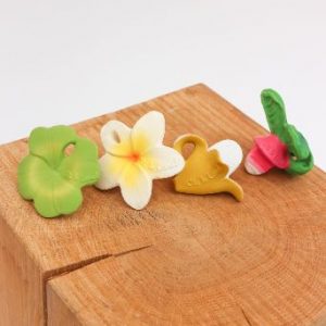 oli-carol-mini-zvakalica