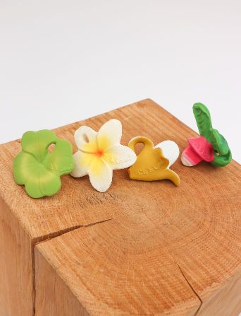 oli-carol-mini-zvakalica