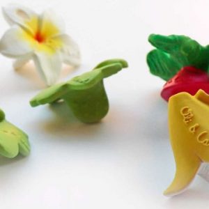 oli-carol-mini-zvakalica