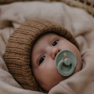 bibs-dude-za-bebe-nordic (1)