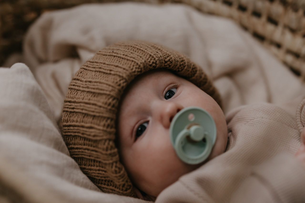 bibs-dude-za-bebe-nordic (1)