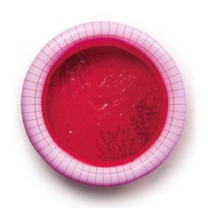 Ouut Dječji bazen Dippy (120 cm) - Crveni
