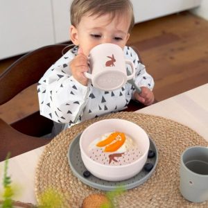 casa-za-hranjenje-bebe-3