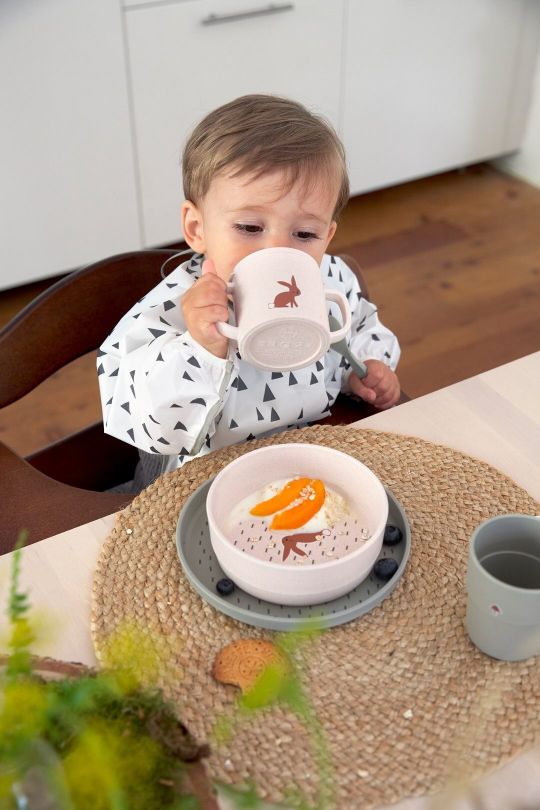 casa-za-hranjenje-bebe-3