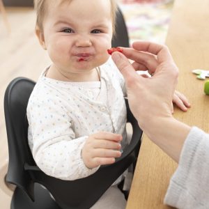 stokke-nomi-dodatak-za-djecju-stolicu-1