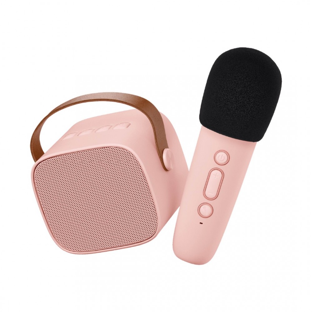 Lalarma Karaoke set - Rose 1