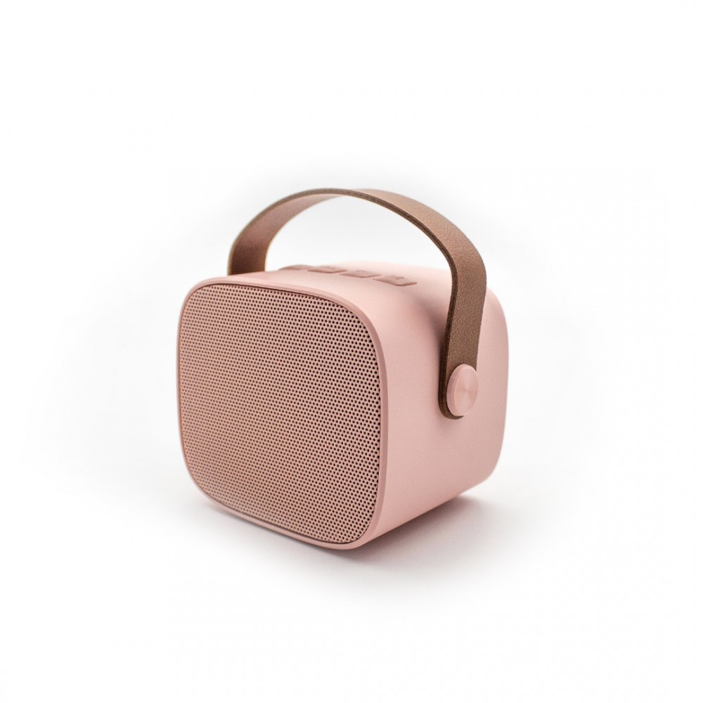 Lalarma Karaoke set - Rose 1